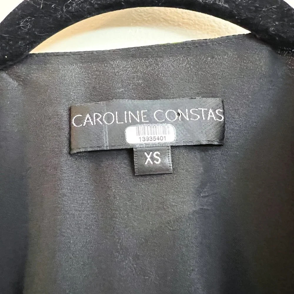 Caroline Constas 100% Silk Vivian Winter Floral V Neck Designer Maxi Dress XS - Picture 7 of 10